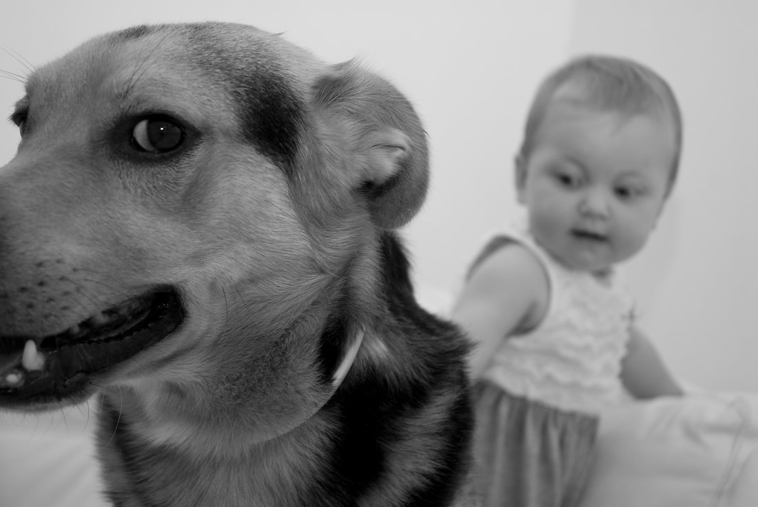 a dog smiling while sitting near a baby behind it